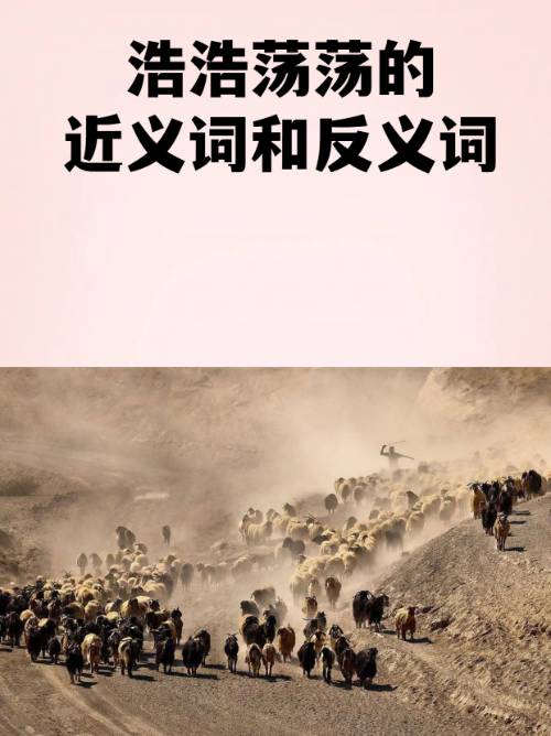 今晚意大利杯焦点战-2鶄&amp;;.b|)愤的简单介绍